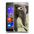 Дизайнерский пластиковый чехол для Microsoft Lumia 540 Слоны