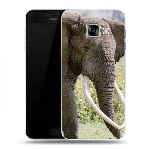 Дизайнерский пластиковый чехол для Samsung Galaxy C5 Слоны