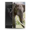 Дизайнерский пластиковый чехол для Sony Xperia XZs Слоны