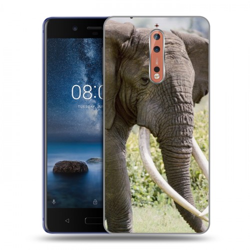 Дизайнерский пластиковый чехол для Nokia 8 Слоны