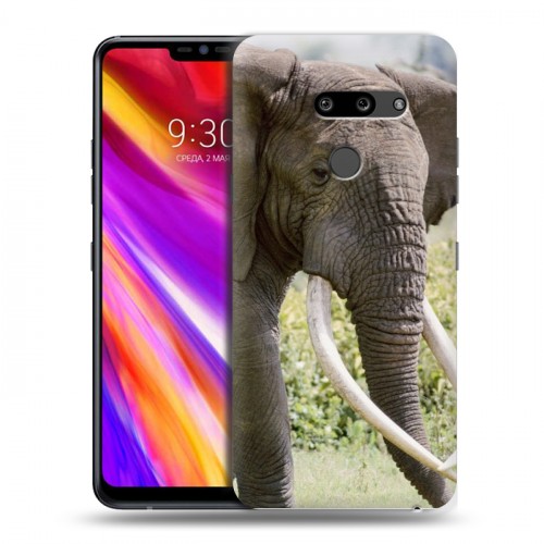 Дизайнерский пластиковый чехол для LG G8 ThinQ Слоны