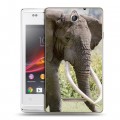 Дизайнерский пластиковый чехол для Sony Xperia E Слоны