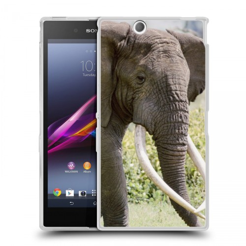 Дизайнерский пластиковый чехол для Sony Xperia Z Ultra  Слоны