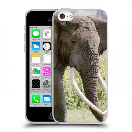 Дизайнерский пластиковый чехол для Iphone 5c Слоны