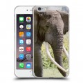 Дизайнерский силиконовый чехол для Iphone 6 Plus/6s Plus Слоны