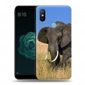 Дизайнерский силиконовый чехол для Xiaomi Mi A2 Слоны