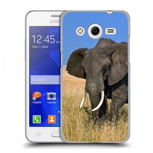 Дизайнерский пластиковый чехол для Samsung Galaxy Core 2 Слоны
