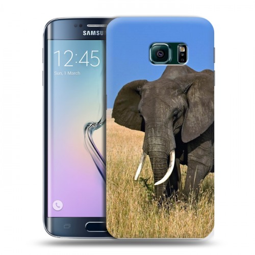 Дизайнерский пластиковый чехол для Samsung Galaxy S6 Edge Слоны
