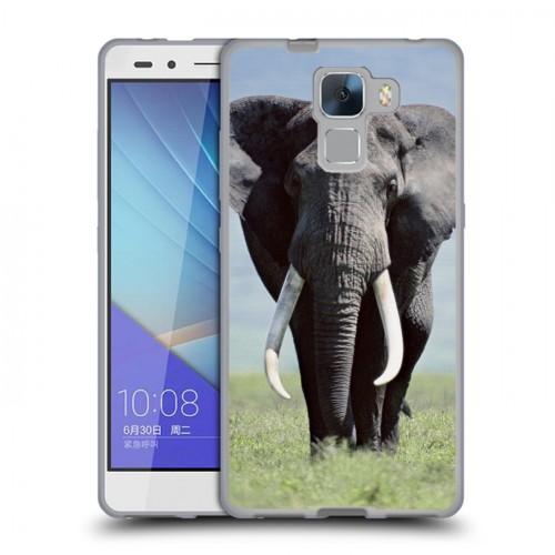 Дизайнерский пластиковый чехол для Huawei Honor 7 Слоны