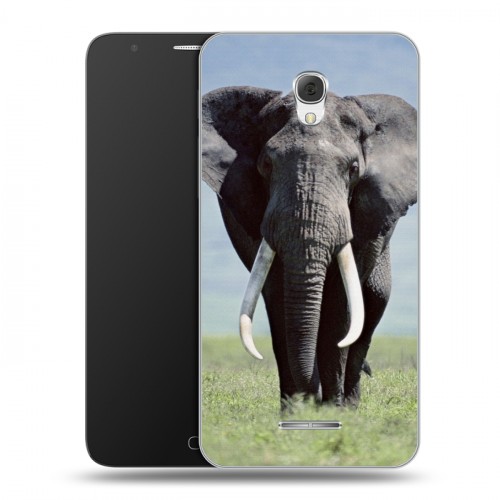 Дизайнерский пластиковый чехол для Alcatel Pop 4 Plus Слоны