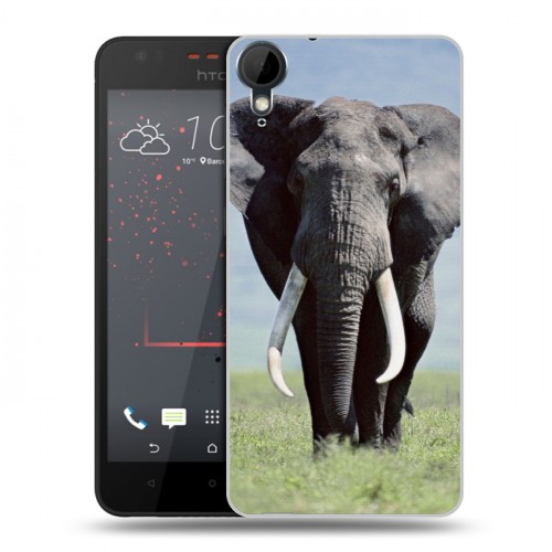 Дизайнерский пластиковый чехол для HTC Desire 825 Слоны