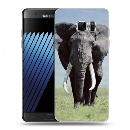 Дизайнерский пластиковый чехол для Samsung Galaxy Note 7 Слоны