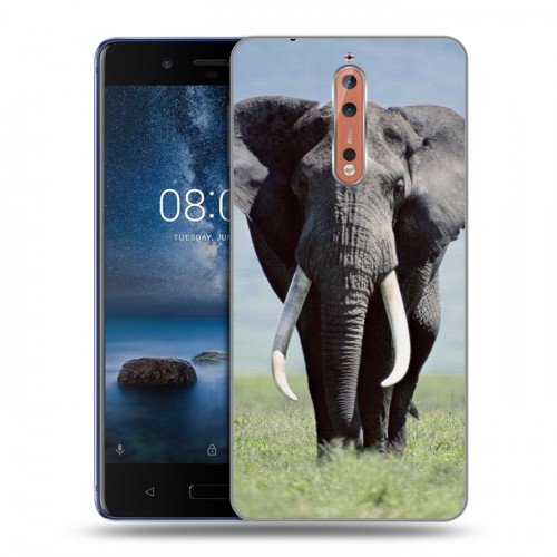 Дизайнерский пластиковый чехол для Nokia 8 Слоны