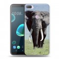 Дизайнерский пластиковый чехол для HTC Desire 12 Plus Слоны