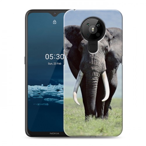 Дизайнерский пластиковый чехол для Nokia 5.3 Слоны