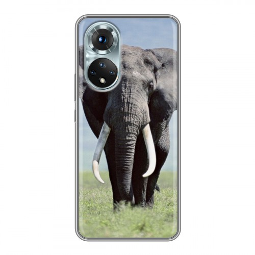 Дизайнерский пластиковый чехол для Huawei Honor 50 Слоны