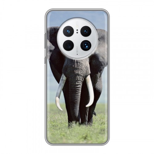 Дизайнерский силиконовый с усиленными углами чехол для Huawei Mate 50 Pro Слоны