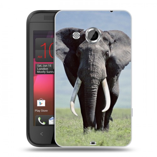 Дизайнерский пластиковый чехол для HTC Desire 200 Слоны