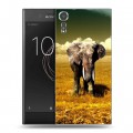 Дизайнерский пластиковый чехол для Sony Xperia XZs Слоны