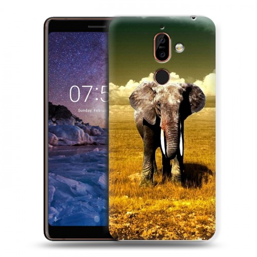 Дизайнерский пластиковый чехол для Nokia 7 Plus Слоны