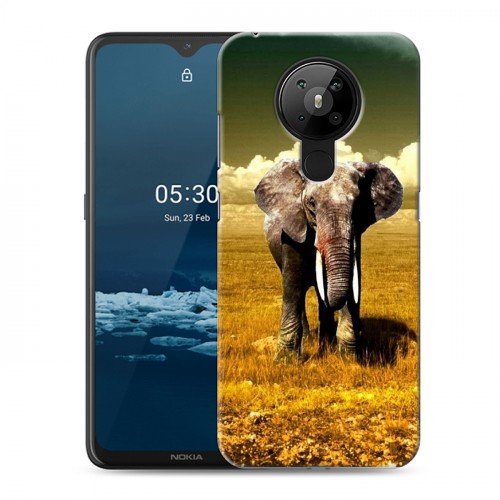 Дизайнерский пластиковый чехол для Nokia 5.3 Слоны