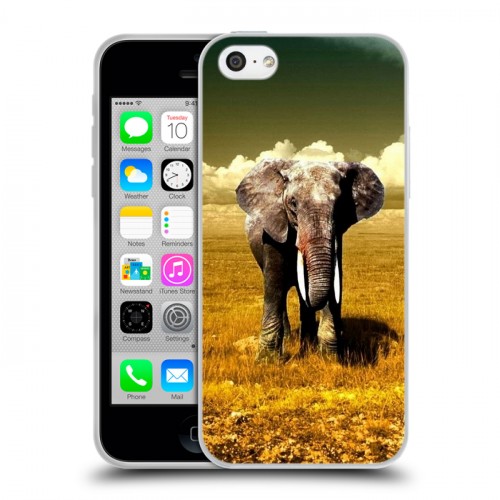 Дизайнерский пластиковый чехол для Iphone 5c Слоны