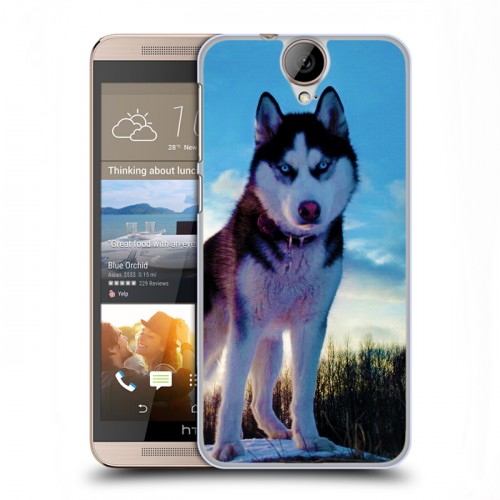 Дизайнерский пластиковый чехол для HTC One E9+ Собаки