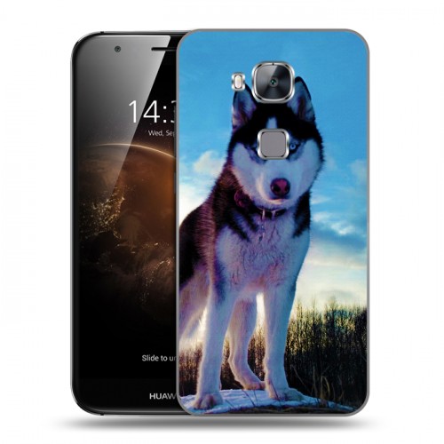 Дизайнерский пластиковый чехол для Huawei G8 Собаки