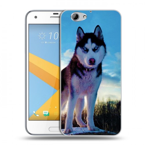 Дизайнерский пластиковый чехол для HTC One A9S Собаки
