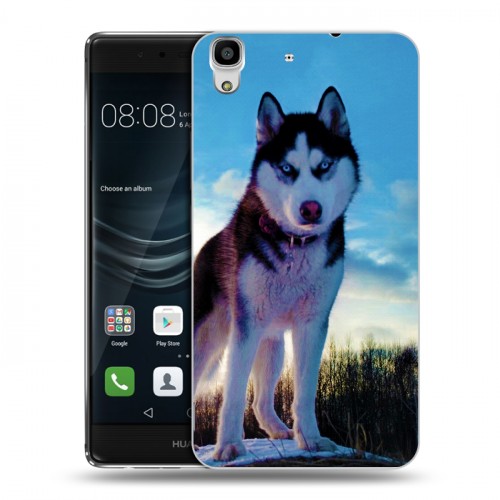 Дизайнерский пластиковый чехол для Huawei Y6II Собаки