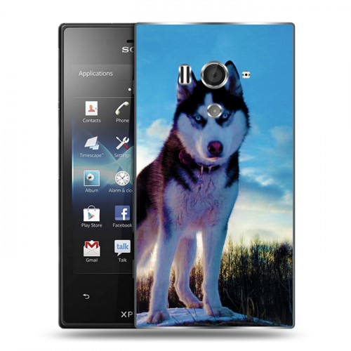 Дизайнерский пластиковый чехол для Sony Xperia acro S Собаки