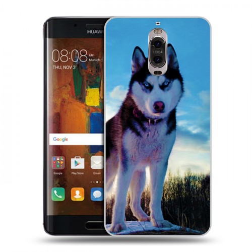 Дизайнерский пластиковый чехол для Huawei Mate 9 Pro Собаки