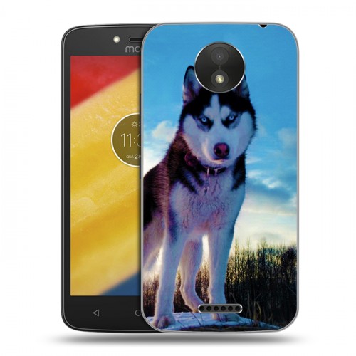 Дизайнерский пластиковый чехол для Motorola Moto C Plus Собаки