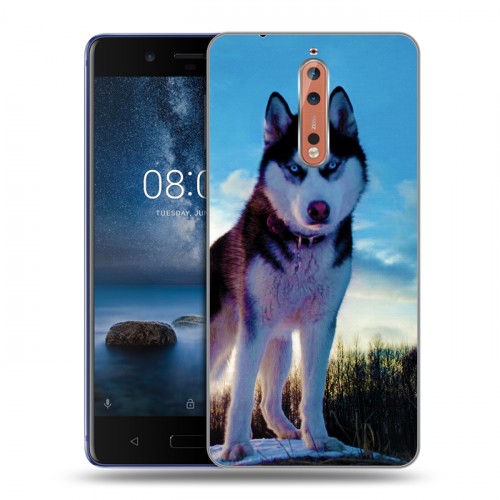 Дизайнерский пластиковый чехол для Nokia 8 Собаки