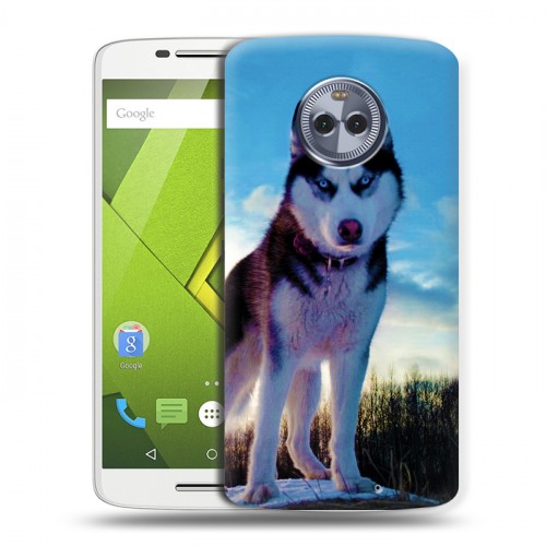 Дизайнерский пластиковый чехол для Motorola Moto X4 Собаки