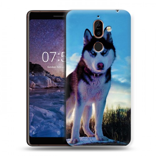 Дизайнерский пластиковый чехол для Nokia 7 Plus Собаки