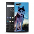 Дизайнерский пластиковый чехол для BlackBerry KEY2 Собаки