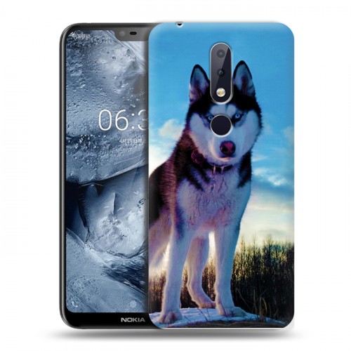 Дизайнерский пластиковый чехол для Nokia 6.1 Plus Собаки