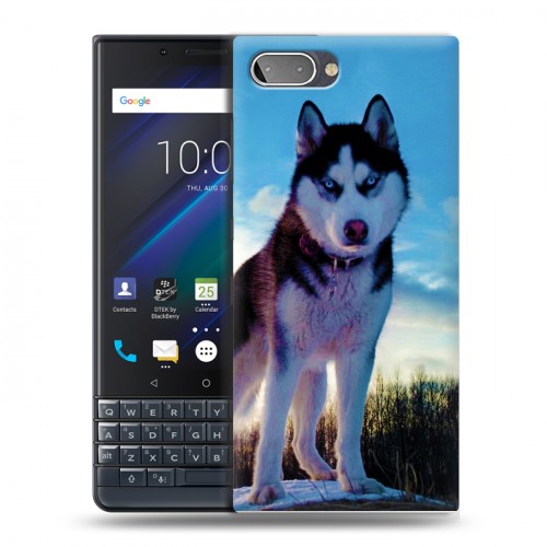 Дизайнерский пластиковый чехол для BlackBerry KEY2 LE Собаки