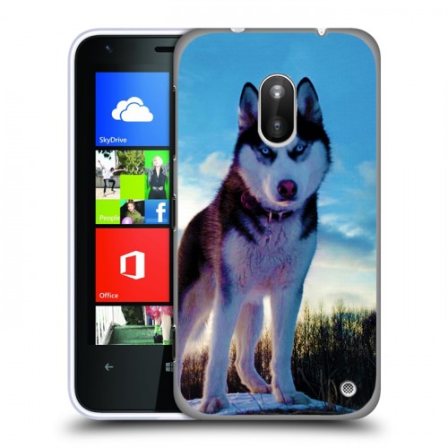 Дизайнерский пластиковый чехол для Nokia Lumia 620 Собаки