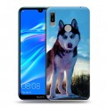 Дизайнерский пластиковый чехол для Huawei Y6 (2019) Собаки