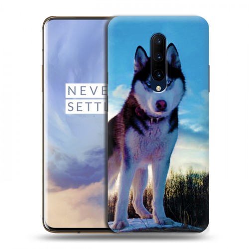 Дизайнерский пластиковый чехол для OnePlus 7 Pro Собаки