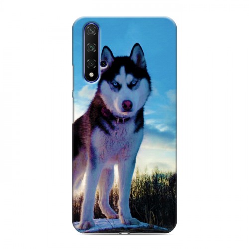 Дизайнерский силиконовый чехол для Huawei Honor 20 Собаки