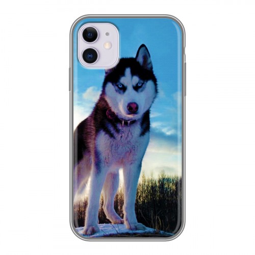 Дизайнерский силиконовый чехол для Iphone 11 Собаки