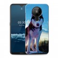 Дизайнерский пластиковый чехол для Nokia 5.3 Собаки