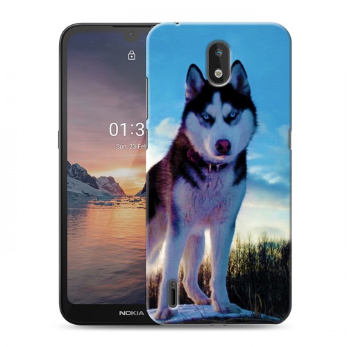 Дизайнерский силиконовый чехол для Nokia 1.3 Собаки