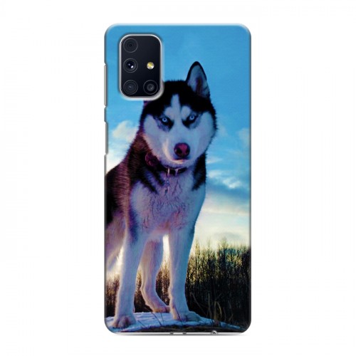 Дизайнерский пластиковый чехол для Samsung Galaxy M31s Собаки