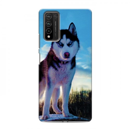 Дизайнерский пластиковый чехол для Huawei Honor 10X Lite Собаки