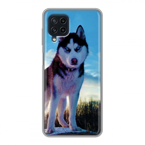 Дизайнерский силиконовый чехол для Samsung Galaxy A22 Собаки