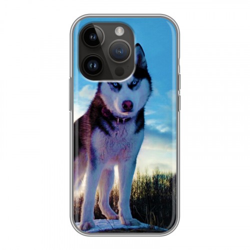 Дизайнерский силиконовый чехол для Iphone 14 Pro Собаки